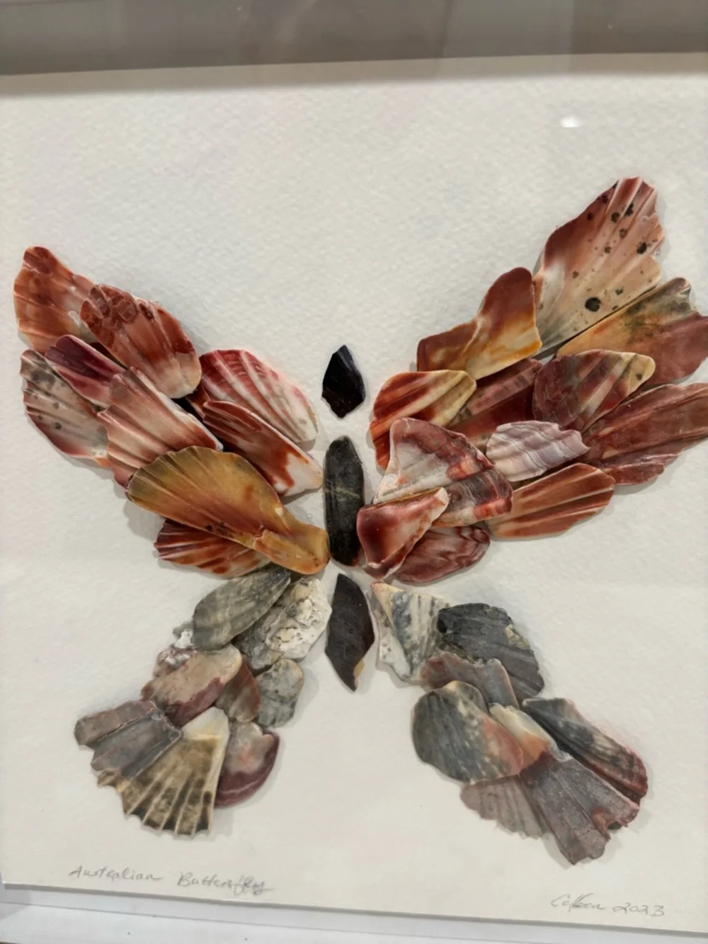 Handcrafted Framed 'Australian Butterfly' Natural Sea Shell Artwork 12”x12” - Picture 3 of 6